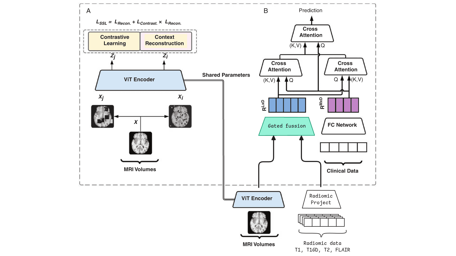 Missing-Data-Robust Medical Imaging Model
